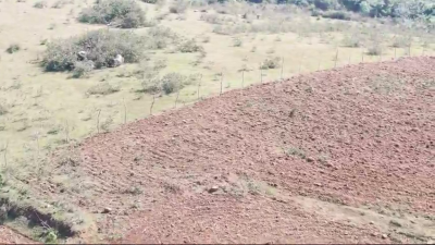 Agricultural/Farm Land for Sale in Hasanur, Thalavadi, Erode District - Image# 2