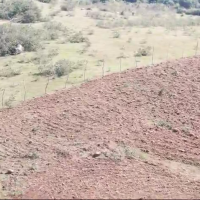 Agricultural/Farm Land for Sale in Hasanur, Thalavadi, Erode District - Image# 2