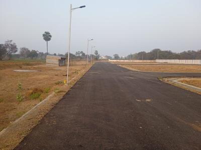 வெள்ளோடு பறவைகள் சரணாலயம் அருகே அன்னை கார்டனில் 2 சைட் உரிமையாளர் நேரடி விற்பனை - Image# 1