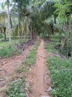 சேலம் மாவட்டம் - கெங்கவல்லி தாலுகா - தம்மம்பட்டியில் 10 ஏக்கர் விவசாய தோட்டம் விற்பனைக்கு - Image# 1