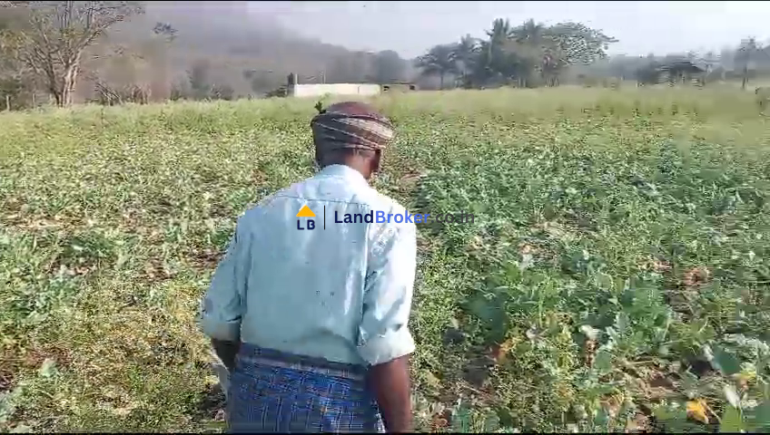 2 Acre Agricultural/Farm Land for Sale in Haasanur, Thalavadi, Erode District - Image# 2