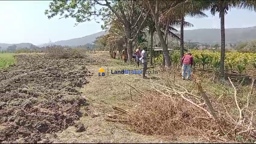 2 Acre Agricultural/Farm Land for Sale in Haasanur, Thalavadi, Erode District - Image# 1