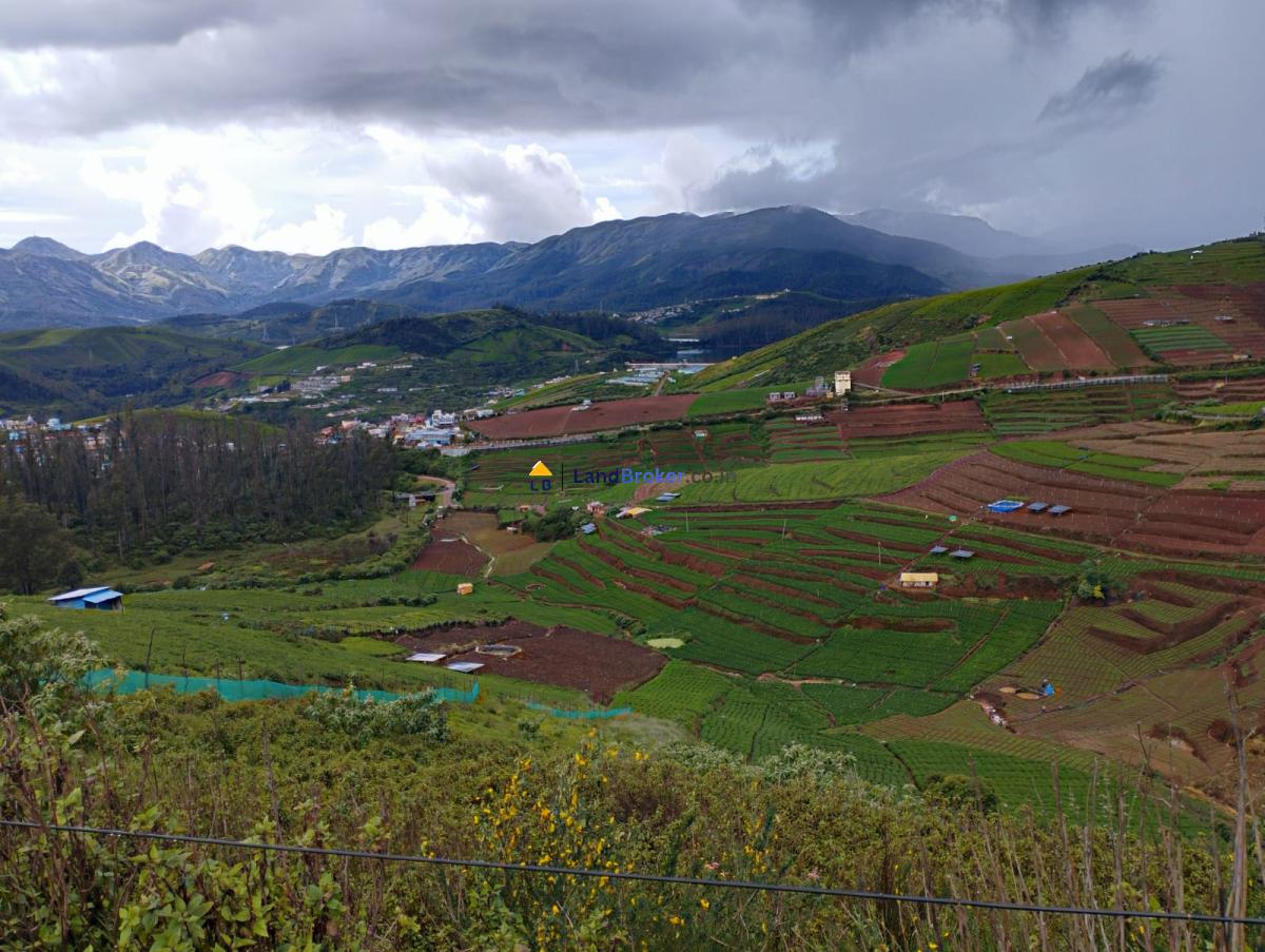 ஊட்டி (நீலகரி)-யில் 11 ஏக்கர் தோட்டம் டீ எஸ்டேட் உடன் சேர்ந்து விற்பனைக்கு - Image# 5