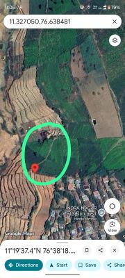 ஊட்டி (நீலகரி)-யில் 11 ஏக்கர் தோட்டம் டீ எஸ்டேட் உடன் சேர்ந்து விற்பனைக்கு - Image# 7