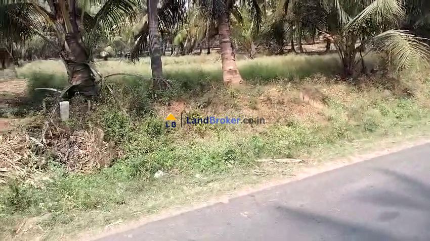 அனுமன்பள்ளி to அஞ்சுராம்பாளையம் சாலை - சென்னிப்பாளி-யில் சாலையோரத்தில் 46 செண்ட் நிலம் விற்பனைக்கு - Image# 1