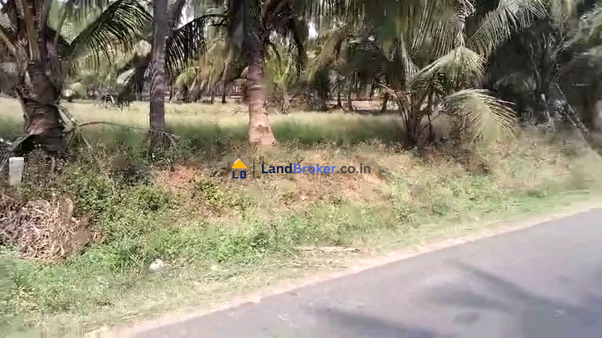 அனுமன்பள்ளி to அஞ்சுராம்பாளையம் சாலை - சென்னிப்பாளி-யில் சாலையோரத்தில் 46 செண்ட் நிலம் விற்பனைக்கு - Image# 2