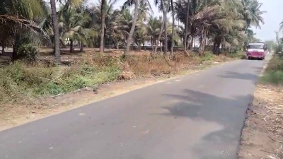 அனுமன்பள்ளி to அஞ்சுராம்பாளையம் சாலை - சென்னிப்பாளி-யில் சாலையோரத்தில் 46 செண்ட் நிலம் விற்பனைக்கு - Image# 3